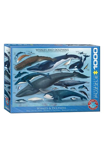 Eurographics Puzzle Eurographics - Dolphins and Whales, 1000 pieces