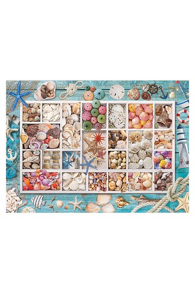 Eurographics Puzzle Eurographics - Laura's Seashell Collection, 1000 pieces