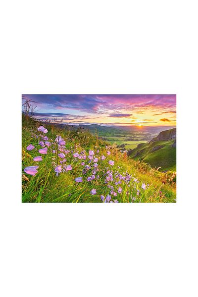 Castorland Puzzle 500 pieces Castorland - Herebells at Sunrise