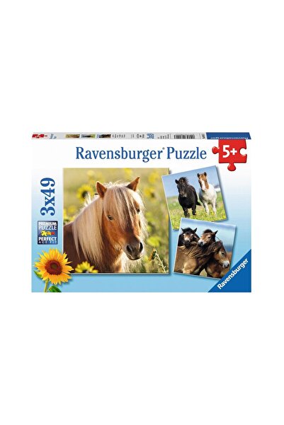 RAVENSBURGER Puzzle - Horses, 3x49 piese