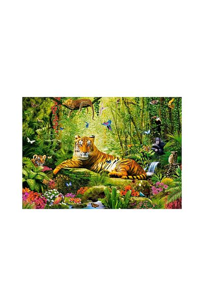 Castorland Puzzle 500 piese Castorland - His Majesty the Tiger