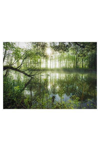 Schmidt Puzzle Schmidt - Stefan Hefele: Homeland Jungle, 1000 pieces