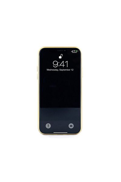 Ted Baker Case iPhone 11 Pro Max Glass Inlay Opal