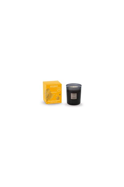 Esteban Paris Amber Scented Candle -