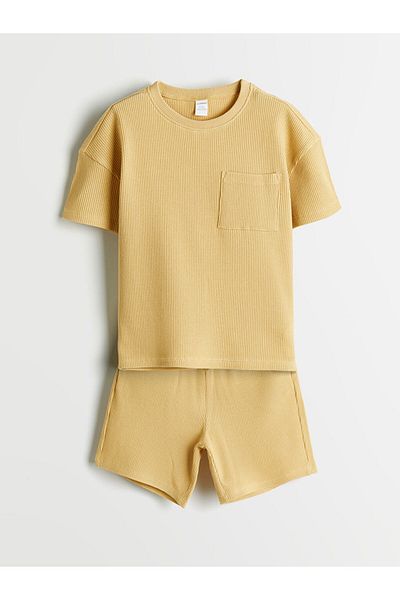 LC Waikiki Crew Neck Boys T-Shirt and Shorts