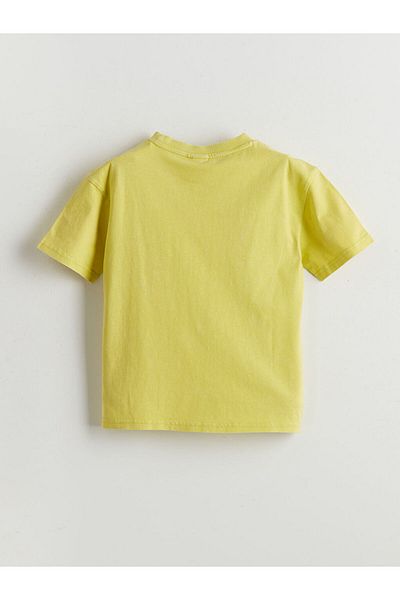 LC Waikiki Sari Crew Neck Printed Boy's T-Shirt