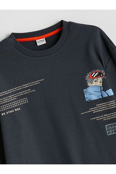 LC Waikiki Lcw Crew Neck Boy T-Shirt