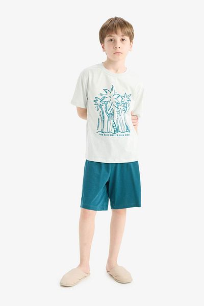 DeFacto Boys' Pajama Set Short Sleeve Top Flexible Waisted Shorts F1735A825Hs