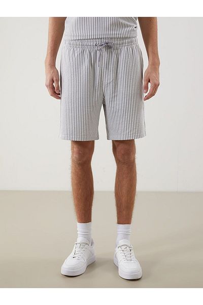 LC Waikiki Xside Standard Mold Striped Men's Shorts