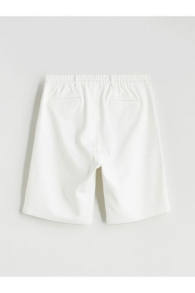 LC Waikiki LCW Vision Standard Fit Men's Shorts