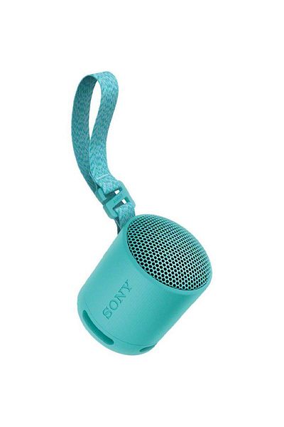 Sony SRS-XB100 Portable Speaker