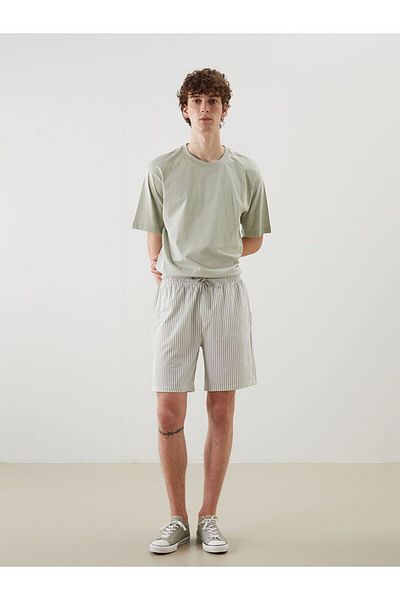 LC Waikiki Xside Standard Mold Striped Men's Shorts