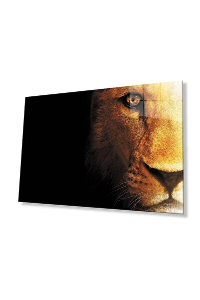 idealizbiz Sticlă Lion 4mm Sticlă Securizată Durabilă