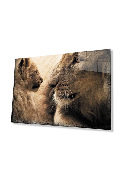 idealizbiz Sticlă Lion 4mm Sticlă Securizată Durabilă