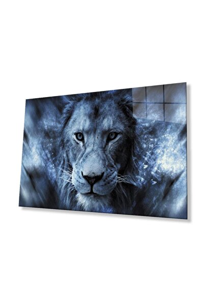 idealizbiz Sticlă Lion 4mm Sticlă Securizată Durabilă