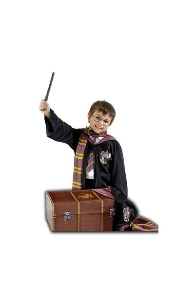 Harry Potter Harry Potter Deluxe costume set with trunk for children 110 - 130 cm 5-7 years