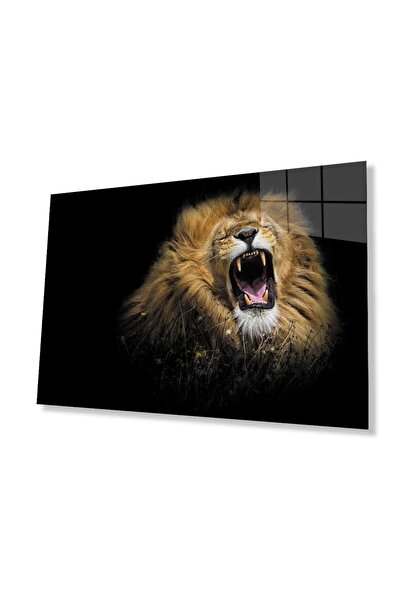 idealizbiz Sticlă Lion 4mm Sticlă Securizată Durabilă