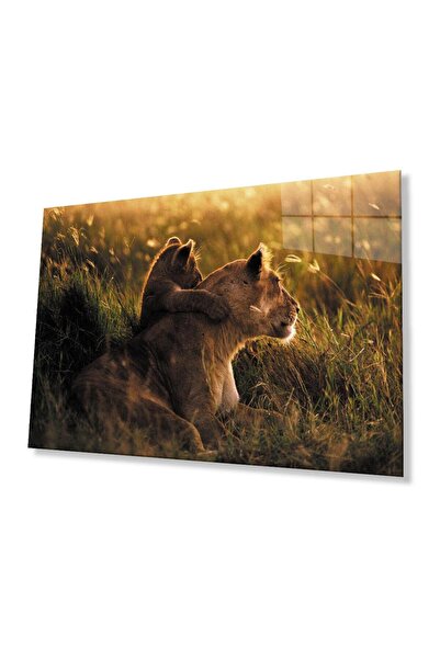 idealizbiz Sticlă Lion 4mm Sticlă Securizată Durabilă