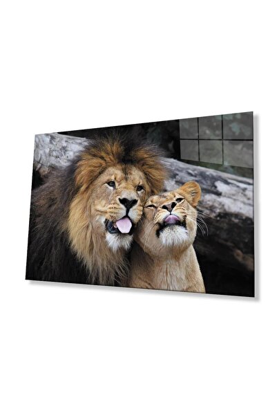 idealizbiz Sticlă Lion 4mm Sticlă Securizată Durabilă