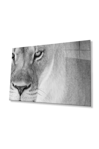 idealizbiz Sticlă Lion 4mm Sticlă Securizată Durabilă