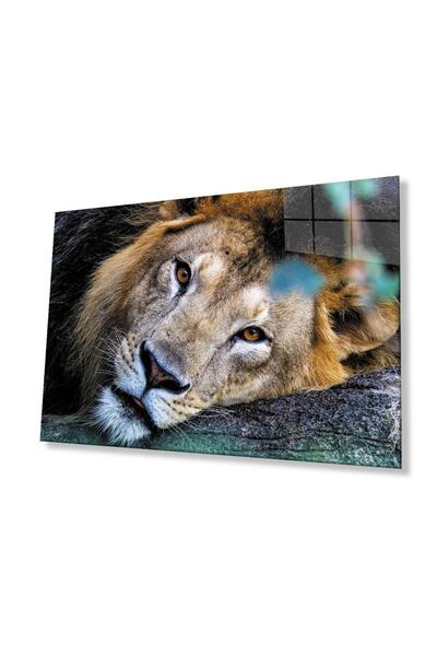 idealizbiz Sticlă Lion 4mm Sticlă Securizată Durabilă