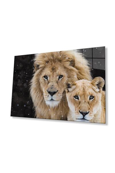 idealizbiz Sticlă Lion 4mm Sticlă Securizată Durabilă