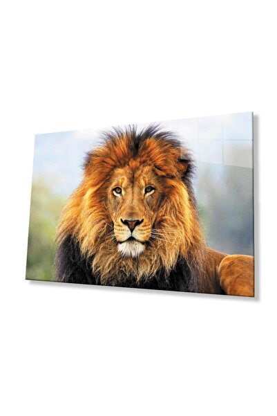 idealizbiz Sticlă Lion 4mm Sticlă Securizată Durabilă