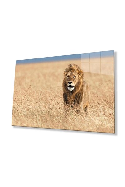 idealizbiz Sticlă Lion 4mm Sticlă Securizată Durabilă