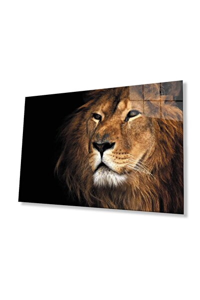 idealizbiz Sticlă Lion 4mm Sticlă Securizată Durabilă