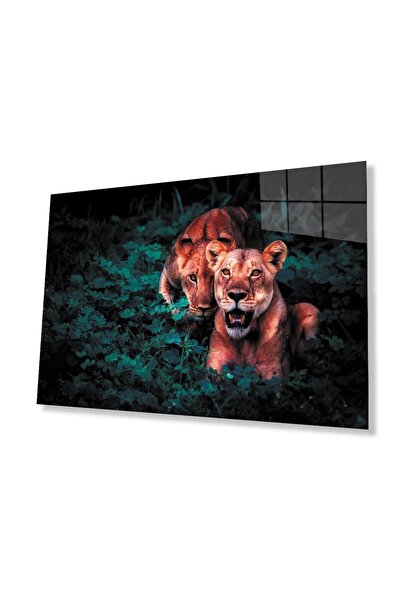 idealizbiz Sticlă Lion 4mm Sticlă Securizată Durabilă