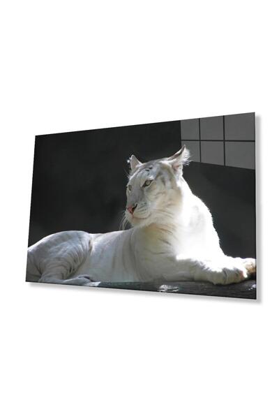 idealizbiz Sticlă Lion 4mm Sticlă Securizată Durabilă