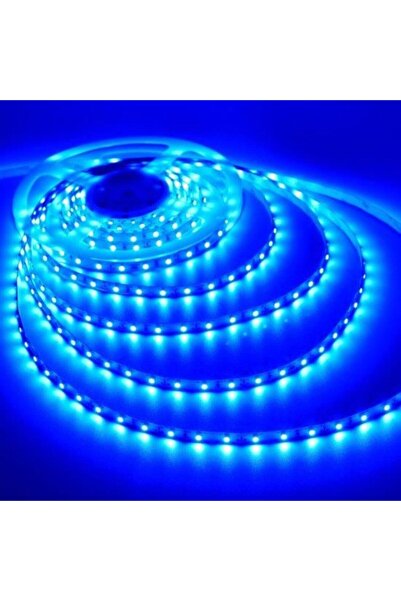 Cata ŞERİT LED 12 V İÇ MEKAN MAVİ 5MT BOLLED+CATA