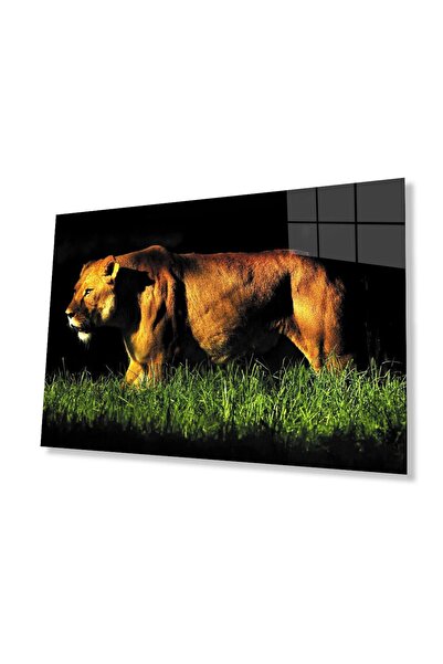 idealizbiz Sticlă Lion 4mm Sticlă Securizată Durabilă