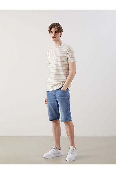 LC Waikiki Xside Crew Neck Striped Men's T-Shirt