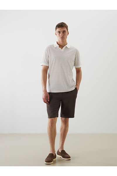 LC Waikiki Lcw Vision Polo Neck Striped Men's T-Shirt