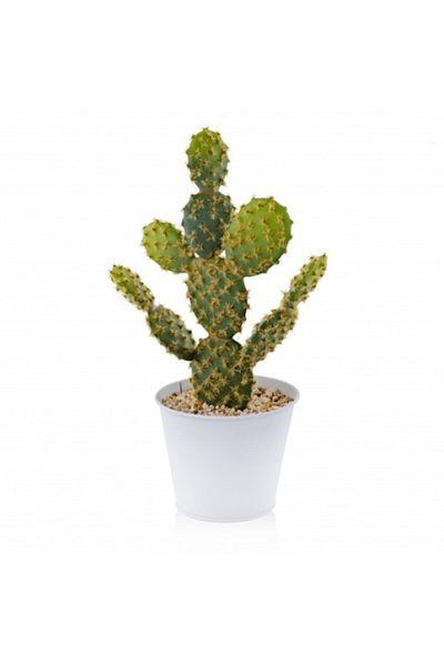 HomeVibes Flori decorative CACTINI