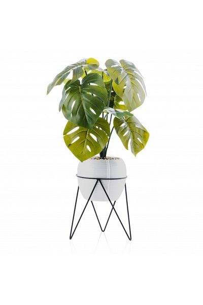 HomeVibes Floare decorativă Tropicanum