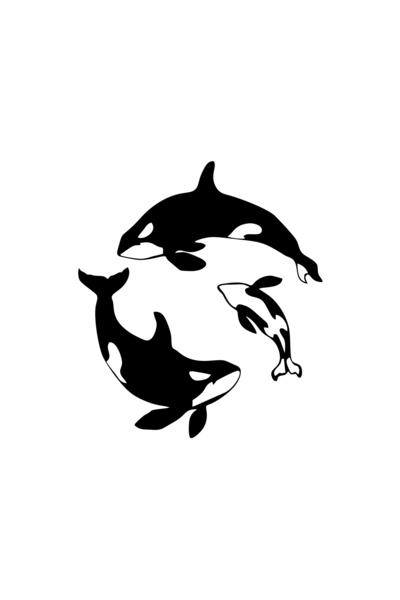 Reysa Tasarım ملصق سيارة الحيتان مقاس 17x17 سم باللون الأسود