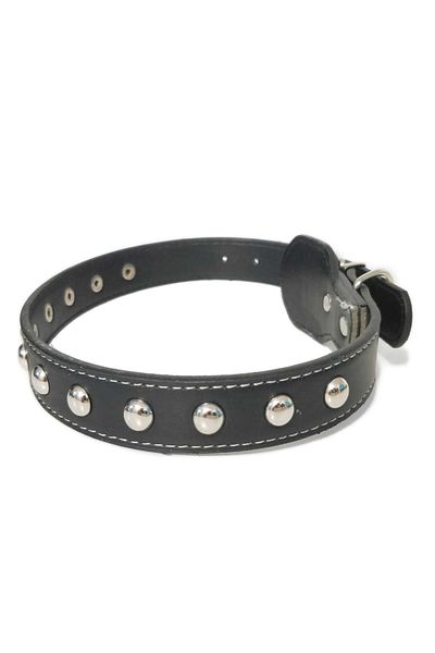 Ropet Zgarda Ropet din piele cu strasuri, pentru caini, 55cm/25mm, Negru
