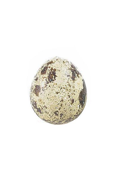 Decorer Set 20 Decorative Eggs, Cream Brown, 2.5x3 cm