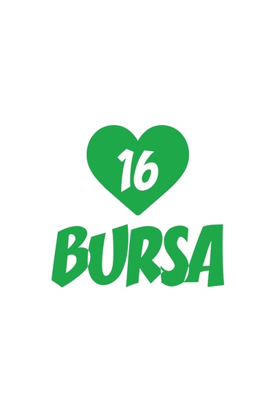 Reysa Tasarım ملصق سيارة على شكل قلب 16 بورسا مقاس 17x17 سم أخضر