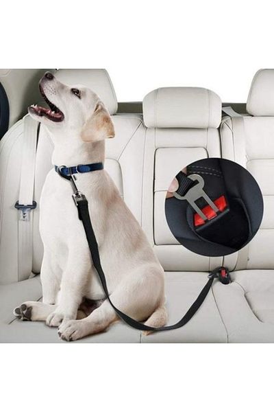 Ropet Car seat belt leash for dogs, cats 40-70cm/2.5cm, Black