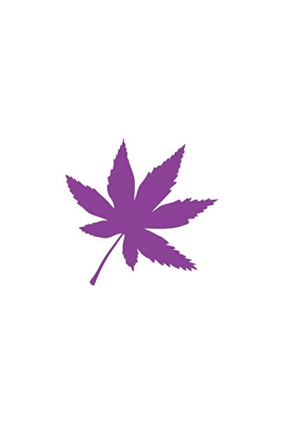 Reysa Tasarım ملصق سيارة مكون من 6 أوراق مقاس 17 × 17 سم باللون الأرجواني