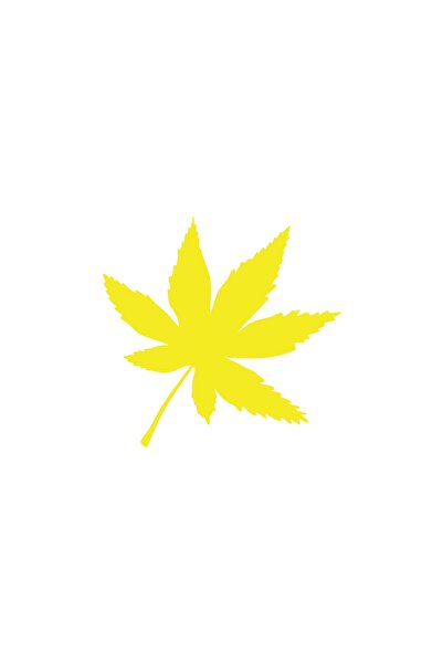 Reysa Tasarım ملصق سيارة مكون من 6 أوراق مقاس 17 × 17 سم باللون الأصفر