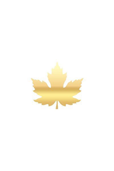 Reysa Tasarım Plane Leaf Car Sticker 17X17 cm Gold