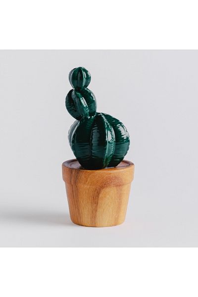 HomeVibes Figurină decorativă Kakti