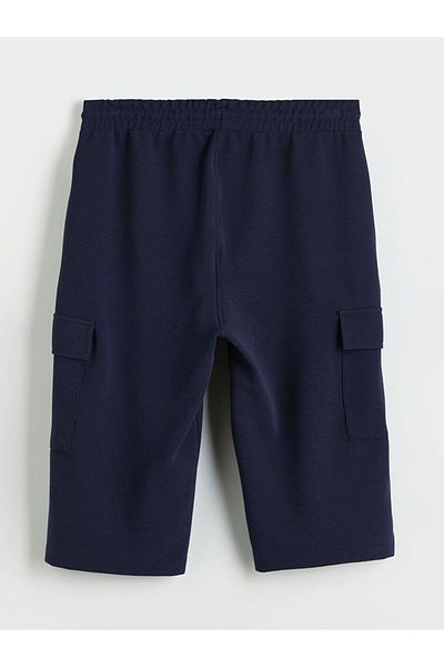 LC Waikiki LCWAIKIKI Classic Standard Fit Men's Shorts