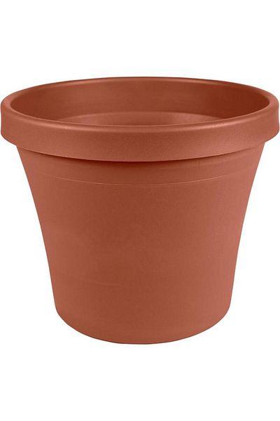 Generic Bloem Tapered Style Weather Resistant Plastic Planter Terracotta 8inch 50008C