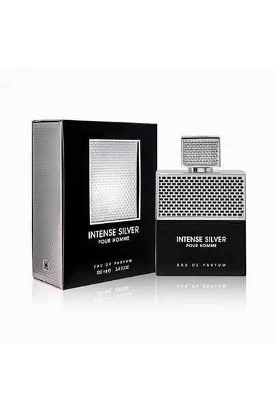 FRENCH AVENUE Perfume Intense Silver Pour Homme, Fragrance World, eau de parfum 100 ml, ανδρικά