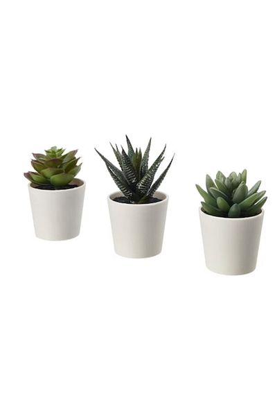 SUPER TRENDS Set of 3 SUPER TRENDS® Artificial Plants, Decorative Flowers in Pots, 12 cm, Light Green